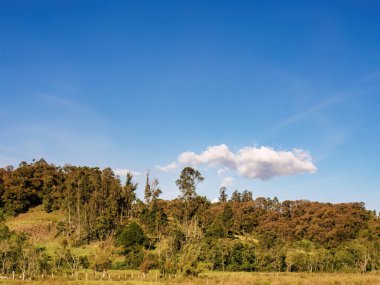 Öğleden sonra, Kolombiya 'nın orta kesimindeki And Dağları' nın doğusundaki bir tarım arazisinde yerel ormanlarla kaplı bir tepenin üzerinde küçük bir bulut yüzer..