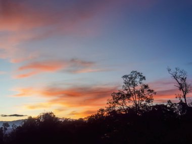 Kolombiya 'nın orta kesimindeki doğu And Dağları' nda, sömürge kasabası Villa de Leyva yakınlarında müthiş bir parıltı yaşanıyor..