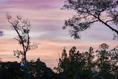 Orta Kolombiya And Dağları 'nın doğusundaki ormanların ve tarlaların üzerindeki gökyüzünde parlaklığın panoramik görüntüsü.