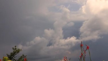 Kümülüs bulutlarının Orta Kolombiya 'nın doğu And Dağları' nda toplanıp geçişi..