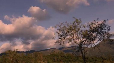 Orta Kolombiya 'nın doğu Andean dağları üzerinde, ön planda kızılağaç ağacı ile birlikte, doğudan gelen yoğun bulutların hızlandırılması,.