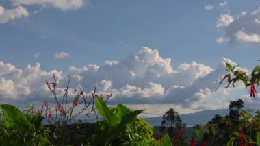 Kümülüs bulutlarının zaman atlaması ufuk çizgisinde değişiyor ve hareket ediyor, Orta Kolombiya 'nın batı Andean dağları üzerinde, sabah.