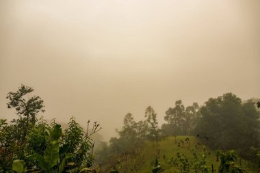 Yoğun bir sabah sisi, Orta Kolombiya 'nın doğu And Dağları' ndaki doğal ormanları ve tarım arazilerini kaplar..