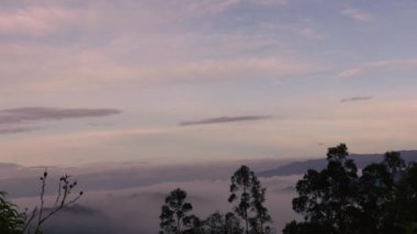 Yoğun şafak sisi Orta Kolombiya 'nın doğu And Dağları' nın vadisine, Iguaque doğal rezervine doğru ilerliyor.. 
