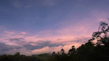 Yoğun şafak sisi Orta Kolombiya 'nın doğu Andean dağları üzerinde yükseliyor, Iguaque doğal rezervinde.. 