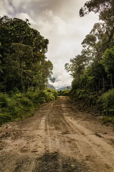 stock image View of a muddy rural road in the middle of a native forest, in the eastern Andean mountains of Colombia, in an overcast sky at sunset.