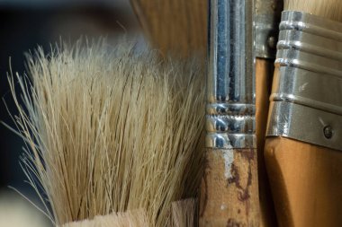 Kolombiya 'nın orta kesimindeki Villa de Leyva kasabasının yakınlarındaki bir çiftlikteki stüdyoda yakalanan fırça fırçalarının makro fotoğrafları..