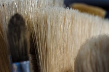 Kolombiya 'nın orta kesimindeki Villa de Leyva kasabasının yakınlarındaki bir çiftlikteki stüdyoda yakalanan fırça fırçalarının makro fotoğrafları..