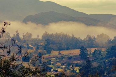 Arcabuco kasabası yakınlarındaki Orta Kolombiya 'nın doğu Andean dağlarında, arka planda yoğun bir sis bulunan gündoğumunda bazı tarım arazilerinin manzarası.