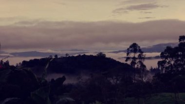 Orta Kolombiya 'nın doğu Andean dağlarında, sabahın erken saatlerinde sis ve bulutların hareketinin hızlandırılması..