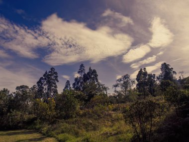 Iguaque dağının kuzeyinde, açık bir sabah, Orta Kolombiya 'nın doğu Andean dağlarında, yumuşak bulutlar süzülüyor..