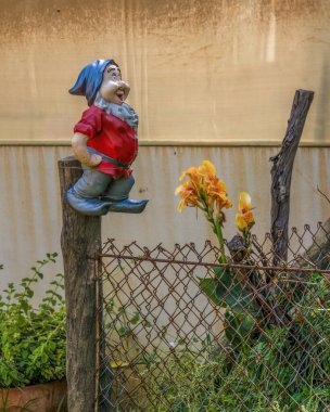 Kolombiya 'nın merkezindeki sömürge kasabası Villa de Leyva yakınlarındaki bir çiftlikte çitin tepesine bağlanmış yıpranmış kırmızı bir bahçe cücesi..