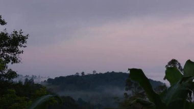 Orta Kolombiya 'nın doğu And Dağları' nın batısındaki tepelerin üzerinden sabah erken saatte hafif bir sis yükseliyor..