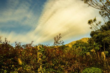 Iguaque dağlarının bir çiftlik çitinin kenarından uzun pozlama manzarası ve güneş batarken Orta Kolombiya 'nın doğu kesiminde Villa de Leyva kasabası yakınlarında bir bulut.. 