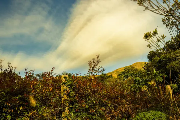 Iguaque dağlarının bir çiftlik çitinin kenarından uzun pozlama manzarası ve güneş batarken Orta Kolombiya 'nın doğu kesiminde Villa de Leyva kasabası yakınlarında bir bulut.. 