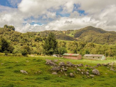 Arka planda kayalar ve ahırlar olan bir çayır, Orta Kolombiya 'nın doğu Andean dağındaki Sotaquira kasabası yakınlarındaki bir çiftlikte..