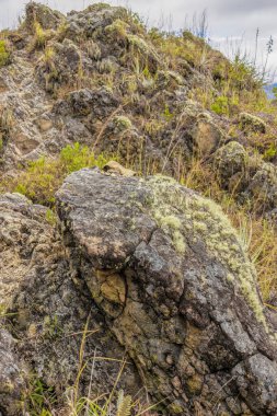 Pena Parida boyunca uzanan sarp patika, Orta Kolombiya 'nın doğu Andean dağlarında, Cucaita kasabası yakınlarında, liken ile kaplı kaya oluşumlarıyla kaplı..