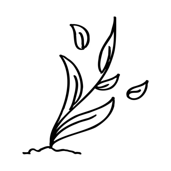Дизайн Ескізу Чорної Трави Рука Намальована Лініями Векторна Контурна Ілюстрація — стоковий вектор