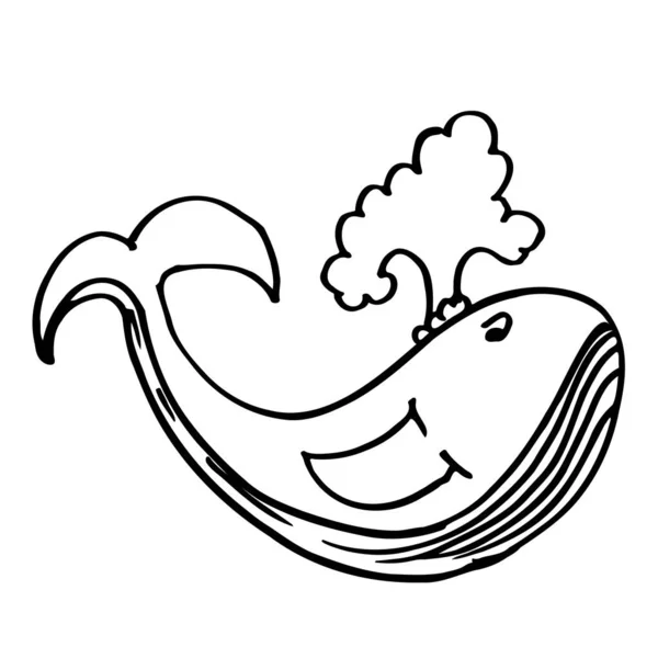 Ładny Szkic Wieloryba Ręcznie Rysowane Czarny Zarys Cute Projekt Kreskówki — Wektor stockowy