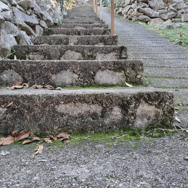 stone stairs in the park