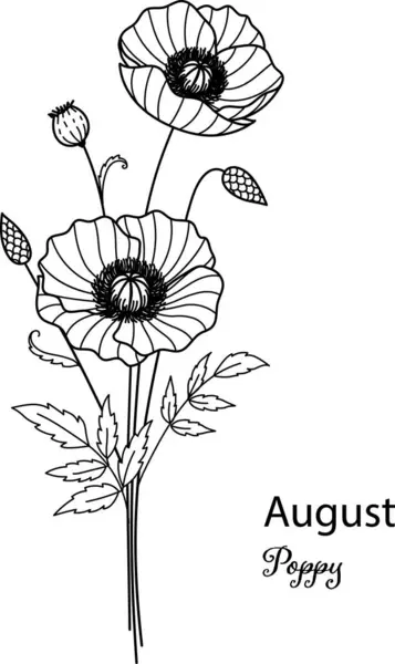 August Birth Month Flower August Poppy Flower Printing Engraving Laser — Stock Vector