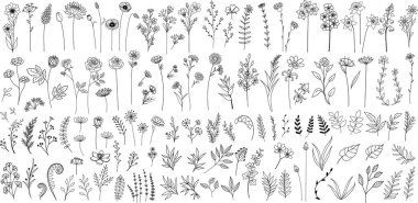 Minimalist el çizimi çiçekler, logo, dövme, düğün kartı tasarımı için yapraklar vektör illüstrasyonu..