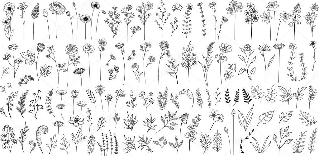 Minimalist hand drawn flowers, leaves for logo, tatoo, wedding card design element.. Vector illustration.