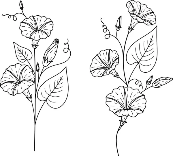 Handgezeichnete Morgenblumen September Geburtsmonat Blume Für Logo Tätowierung Shirts Designs — Stockvektor