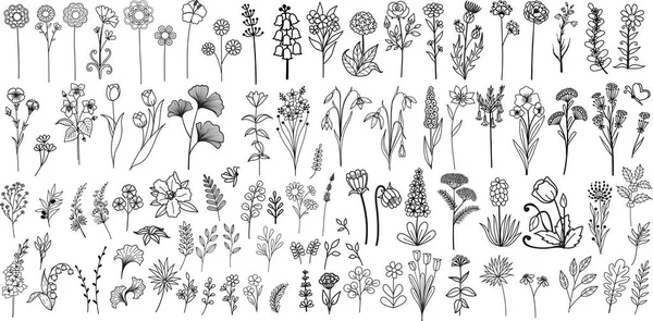 Minimalista Kézzel Rajzolt Virágok Levelek Szerkeszthető Vonal Vastagsága Logó Tetoválás — Stock Vector