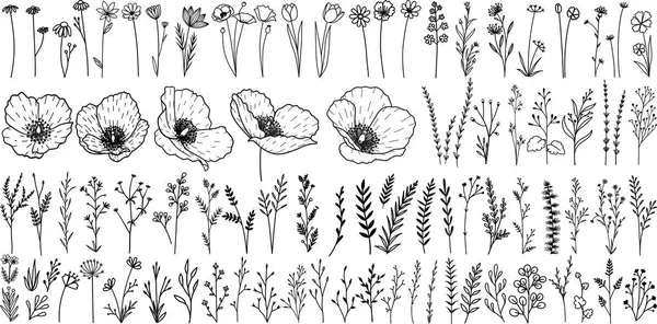 Minimalista Kézzel Rajzolt Virágok Levelek Ágak Walesi Mák Logó Tetoválás — Stock Vector