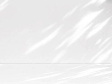 Beyaz duvar arkaplanı ve ağaç yumuşak gölgeler bırakır. Doğal desen, gri gölge. Boşluğu kopyala