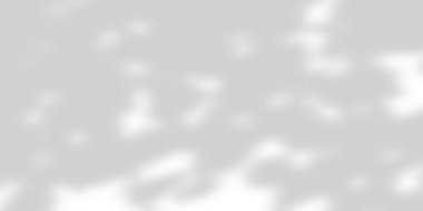 Beyaz duvar arkaplanı ve ağaç yumuşak gölgeler bırakır. Doğal desen, gri gölge. Boşluğu kopyala