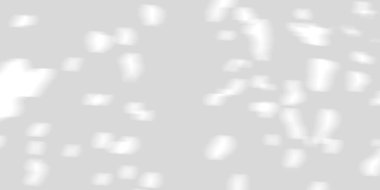 Tropik doğal yaprakların yumuşak gölgesi. Ağaç yaprakları beyaz arkaplanda izole