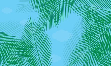 Mavi gökyüzünde palmiye yaprakları ve alçak açılı bulutlar. Doğal yeşil hindistan cevizi yaprağı deseni ve seyahat tatili konsepti Düşük açı görünümü