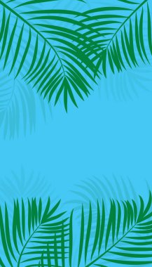 Mavi gökyüzünde alçak açılı palmiye yaprakları. Doğal yeşil hindistan cevizi yaprağı deseni ve seyahat tatili konsepti