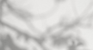 Tropik doğal dalların yumuşak gölgesi ve duvardaki yapraklar. Ağaç yaprakları beyaz çimentoda izole