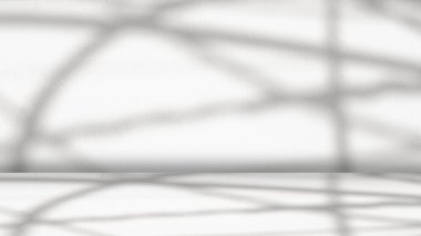 Ağaç dallarının bulanık arkaplanı. Doğal desen, gri gölge. Boşluk ve beyaz beton duvar ve zemin arkaplanı kopyala