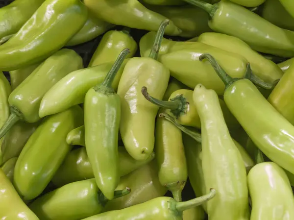 Süpermarkette bir yığın taze dolma biber. Taze yeşil vejetaryen yemeğinin yakın çekimi..