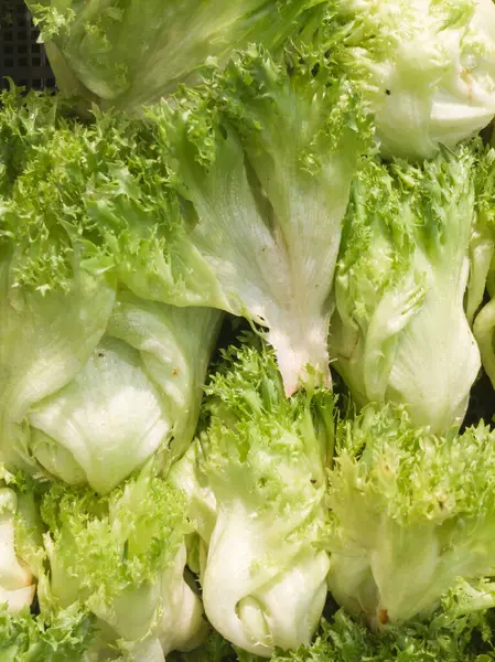 Süpermarkette bir yığın taze lahana. Taze yeşil vejetaryen yemeğinin yakın çekimi..
