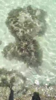 4K gerçek zamanlı video kaydı. Tropikal bir yaz gününde deniz dalgaları kayalara ve mercanlara çarpıyor..