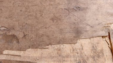 Hollywood dokusu, doğal desen. Güzel ahşap desen. Arkaplan yüzeyi ve parke.