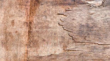 Hollywood dokusu, doğal desen. Güzel ahşap desen. Arkaplan yüzeyi ve parke.