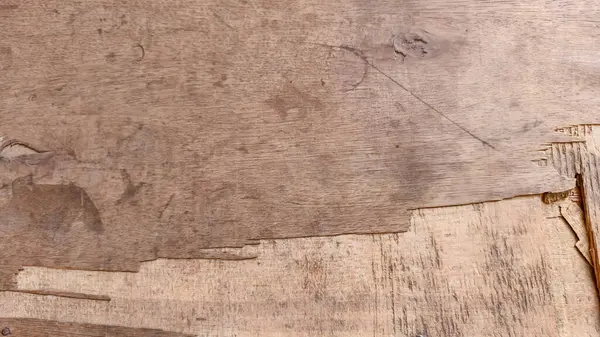 Hollywood dokusu, doğal desen. Güzel ahşap desen. Arkaplan yüzeyi ve parke.