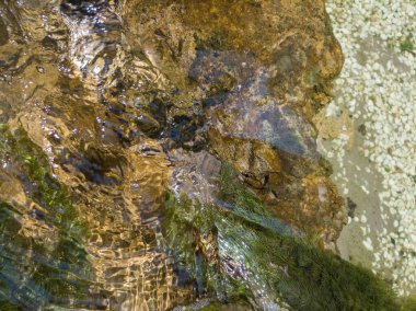 Kayalar ve çakıllar üzerindeki berrak su dalgalarının, deredeki yosunların yakın çekimi