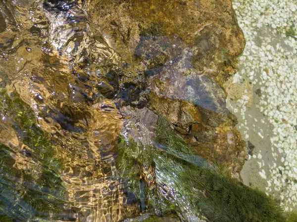 Kayalar ve çakıllar üzerindeki berrak su dalgalarının, deredeki yosunların yakın çekimi