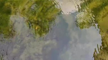 4K gerçek zamanlı görüntü. Nehirde akan temiz suyun açısı