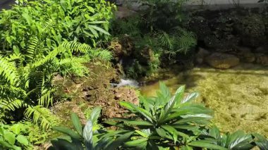 4K gerçek zamanlı görüntü. Bahçe manzaralı sanatsal şelale