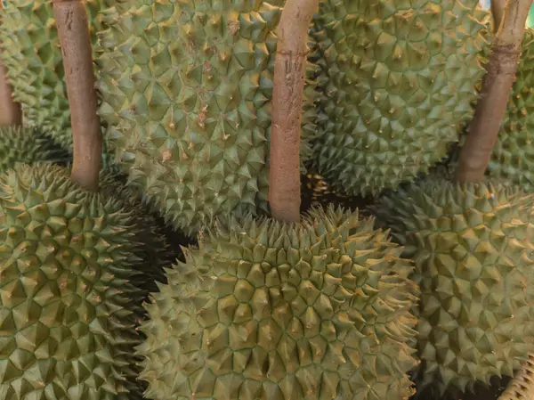 Durian yığınına yakın çekim. Popüler Güneydoğu Asya
