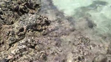 4K yavaş çekim video kaydı. Tropikal bir yaz gününde deniz dalgaları kayalara çarpıyor..