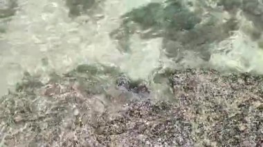 4K gerçek zamanlı video kaydı. Sıcak ve güneşli bir öğleden sonra kumsalda açık deniz dalgaları ve kayalar.